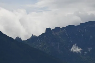 DSC_6253 (Large).JPG